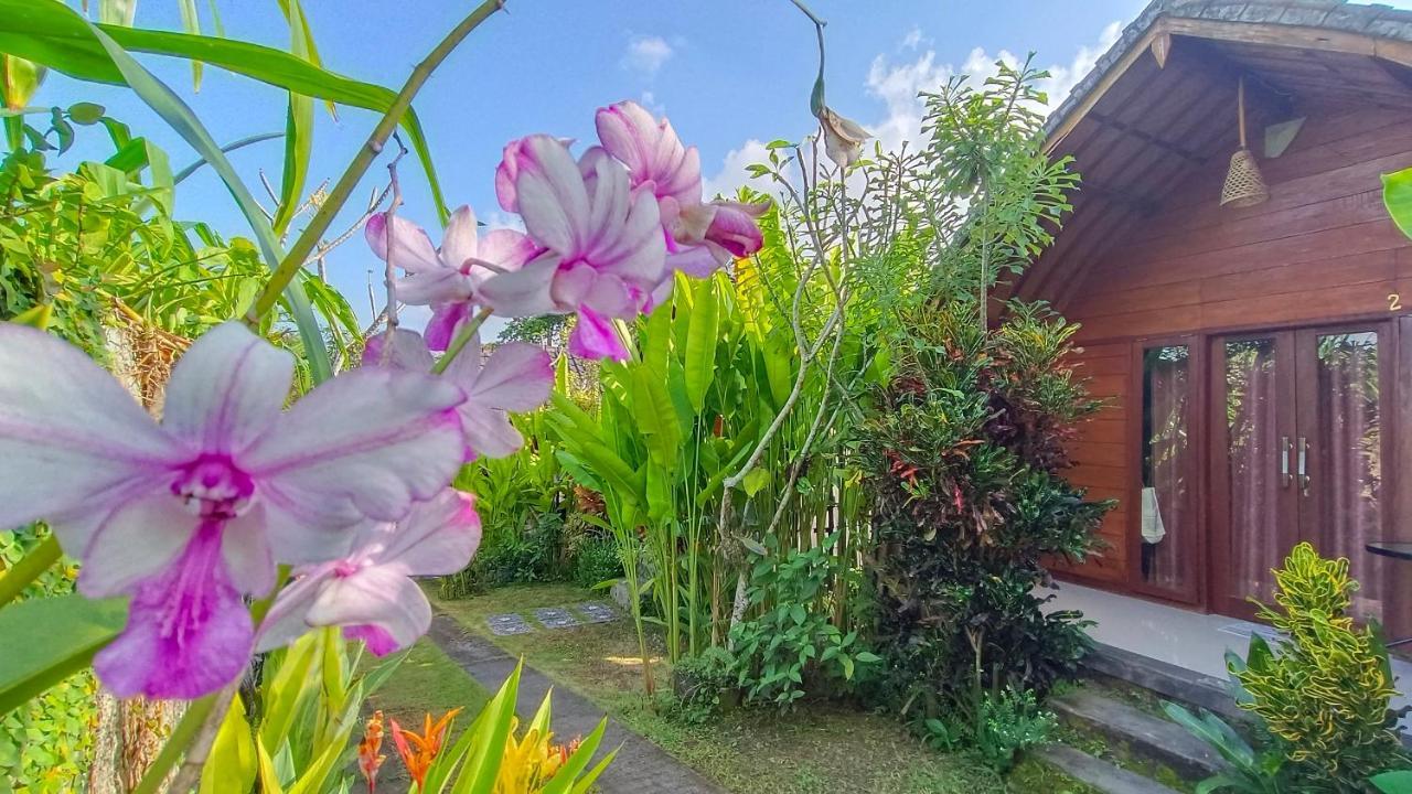 Morning Bali Bungalow Canggu Exteriör bild