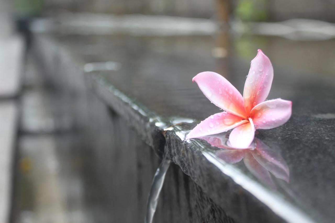 Morning Bali Bungalow Canggu Exteriör bild